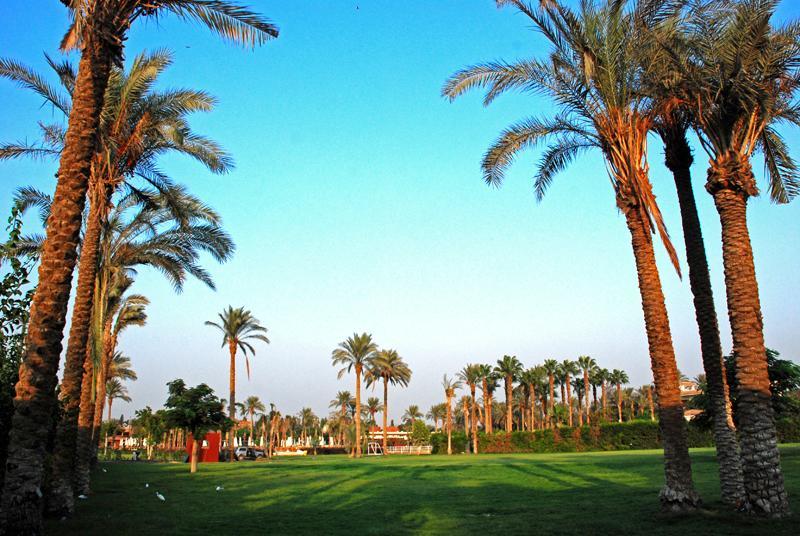 Sakkara Country Club Hotel El Hawamdeya Exterior photo