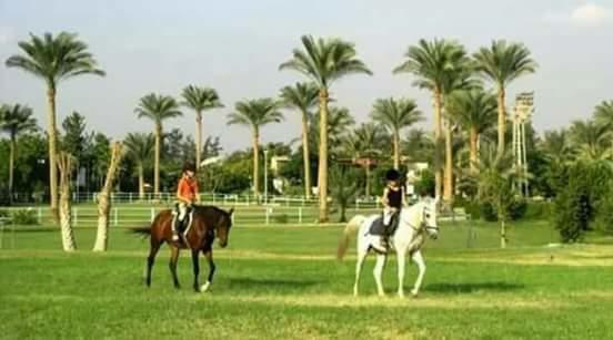 Sakkara Country Club Hotel El Hawamdeya Exterior photo